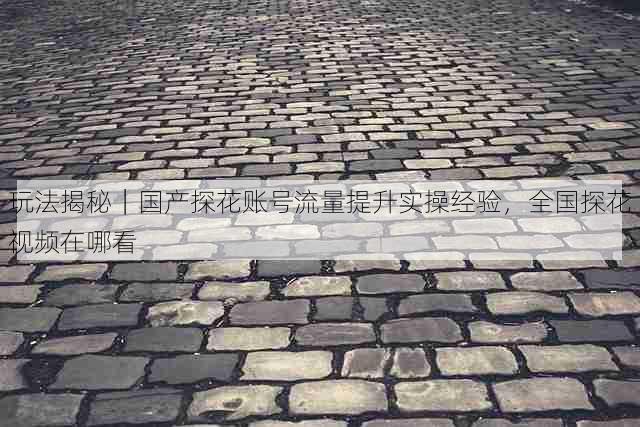 玩法揭秘｜国产探花账号流量提升实操经验，全国探花视频在哪看